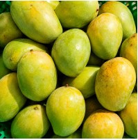 Mango - Japarta (3-4 days to ripen) 